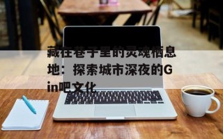 藏在巷子里的灵魂栖息地：探索城市深夜的Gin吧文化