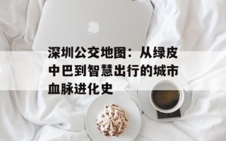 深圳公交地图：从绿皮中巴到智慧出行的城市血脉进化史