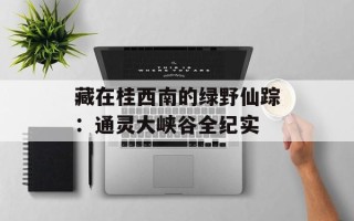 藏在桂西南的绿野仙踪：通灵大峡谷全纪实