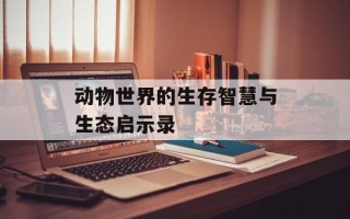 动物世界的生存智慧与生态启示录