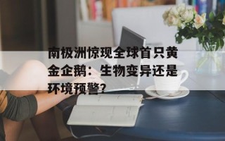 南极洲惊现全球首只黄金企鹅：生物变异还是环境预警？