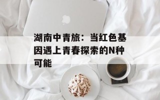 湖南中青旅：当红色基因遇上青春探索的N种可能