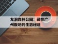 龙洞森林公园：藏在广州腹地的生态秘境
