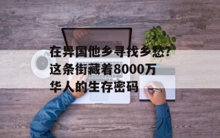 在异国他乡寻找乡愁？这条街藏着8000万华人的生存密码