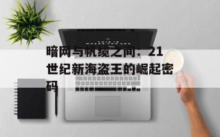 暗网与帆缆之间：21世纪新海盗王的崛起密码