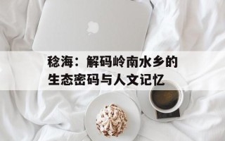 稔海：解码岭南水乡的生态密码与人文记忆