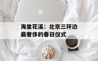 海棠花溪：北京三环边最奢侈的春日仪式
