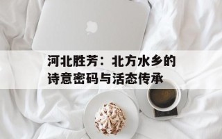 河北胜芳：北方水乡的诗意密码与活态传承