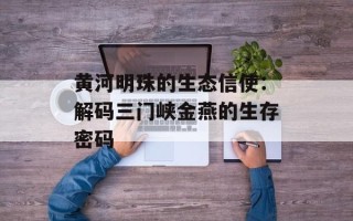 黄河明珠的生态信使：解码三门峡金燕的生存密码