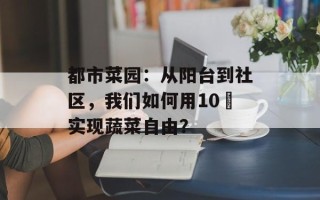 都市菜园：从阳台到社区，我们如何用10㎡实现蔬菜自由？