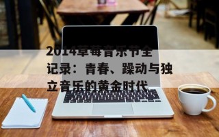 2014草莓音乐节全记录：青春、躁动与独立音乐的黄金时代
