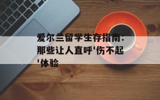 爱尔兰留学生存指南：那些让人直呼'伤不起'体验
