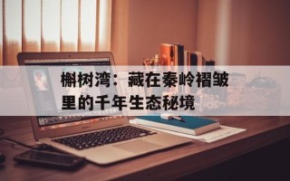 槲树湾：藏在秦岭褶皱里的千年生态秘境
