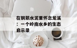 在钢筋水泥里怀念龙溪：一个岭南水乡的生态启示录