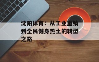 沈阳体育：从工业重镇到全民健身热土的转型之路