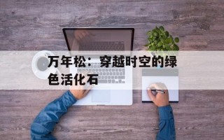 万年松：穿越时空的绿色活化石