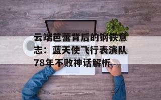 云端芭蕾背后的钢铁意志：蓝天使飞行表演队78年不败神话解析