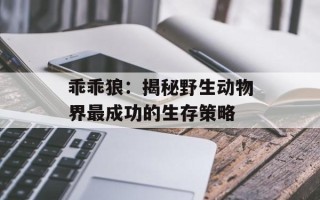 乖乖狼：揭秘野生动物界最成功的生存策略