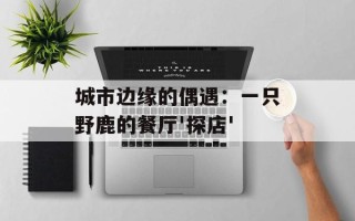 城市边缘的偶遇：一只野鹿的餐厅'探店'