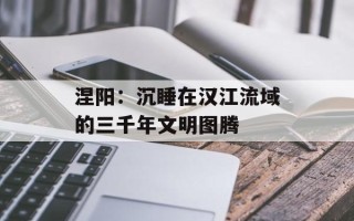 涅阳：沉睡在汉江流域的三千年文明图腾
