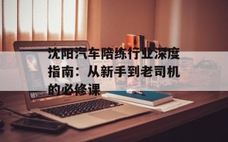 沈阳汽车陪练行业深度指南：从新手到老司机的必修课