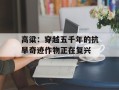 高粱：穿越五千年的抗旱奇迹作物正在复兴