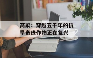 高粱：穿越五千年的抗旱奇迹作物正在复兴