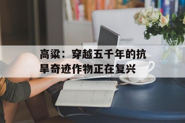 高粱：穿越五千年的抗旱奇迹作物正在复兴-第1张图片-