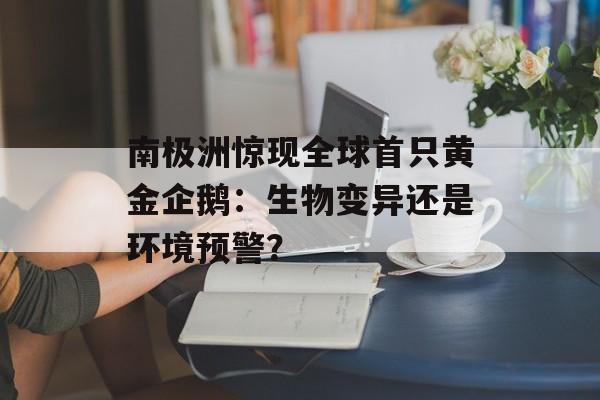 南极洲惊现全球首只黄金企鹅:生物变异还是环境预警?-第1张图片- 南极洲惊现全球首只黄金企鹅:生物变异还是环境预警?-第1张图片-