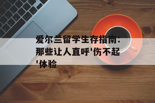 爱尔兰留学生存指南：那些让人直呼'伤不起'体验-第1张图片-