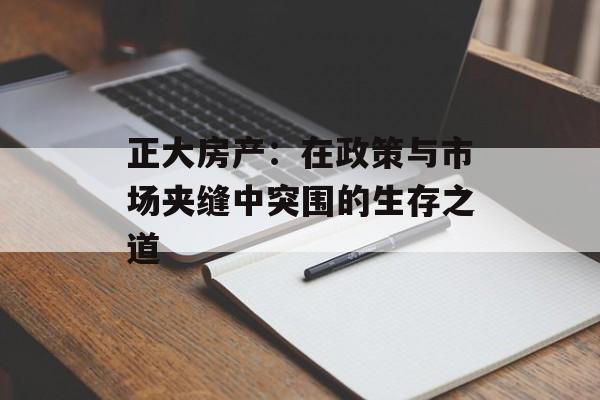 正大房产：在政策与市场夹缝中突围的生存之道-第1张图片-