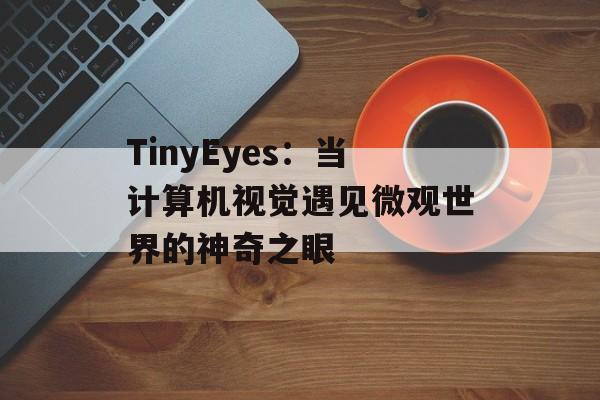 TinyEyes：当计算机视觉遇见微观世界的神奇之眼-第1张图片-