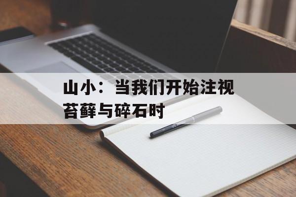 山小：当我们开始注视苔藓与碎石时-第1张图片-